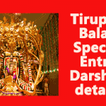 Tirupati Balaji Special Entry Darshan